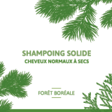 SS forêt boréale
