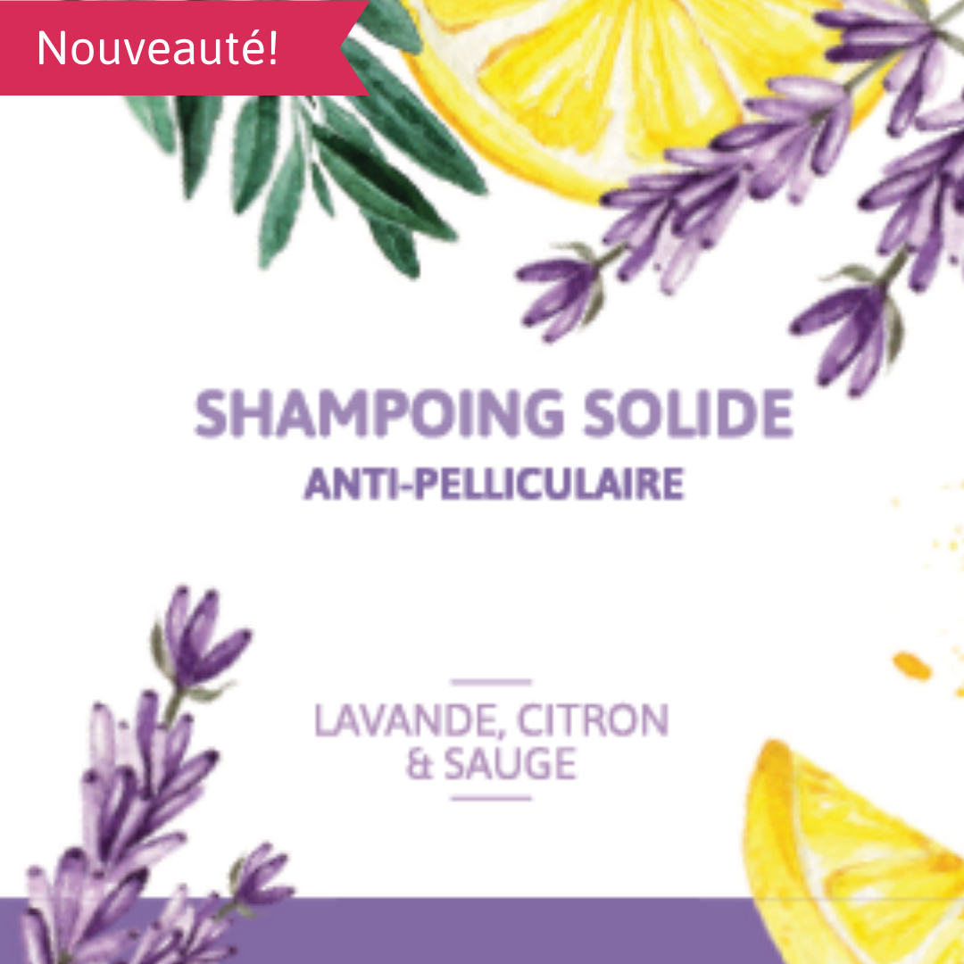 shampoing solide anti pelliculaire