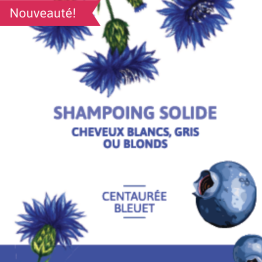 shampoing solide centaurée bleuet